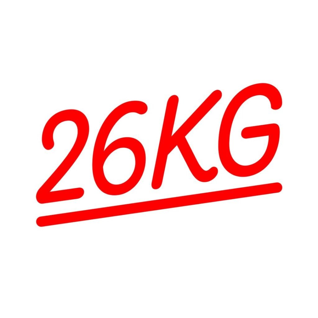 26 kg pasta fresca vegan logo