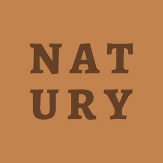 natury cakes barcelona