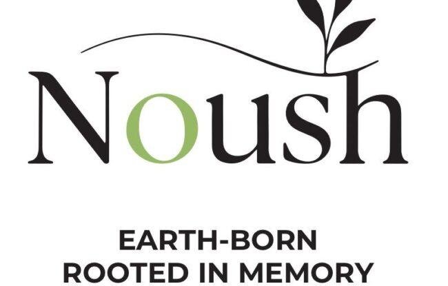 noush barcelona logo