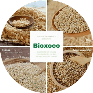 BioXoco Restaurante Vegano Macrobiótico