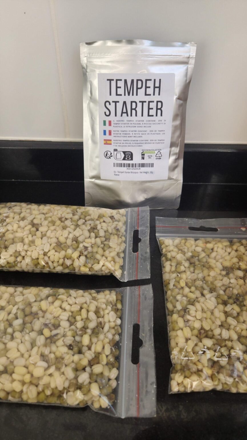 tempeh casero