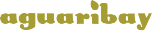 Aguaribay