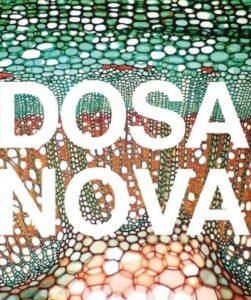 Dosa Nova