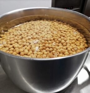 garbanzo para falafel casero