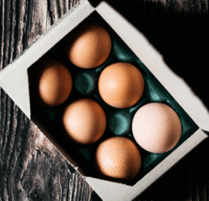 huevo proteina vs tempeh