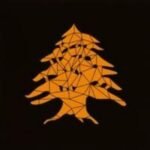 LAZEEZ BBQ Lebanese restaurant en Barcelona