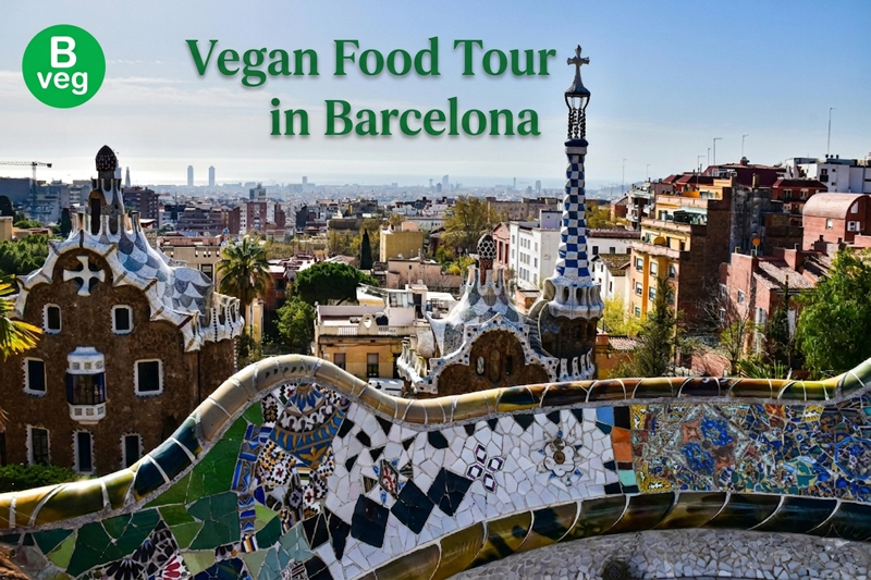 Vegan-Food-Tour-in-Barcelona
